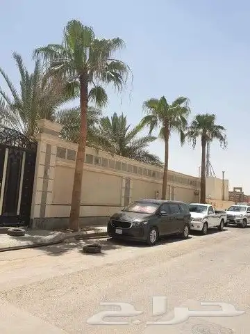 زراعة نخيل عربي وشنطني زراعة أشجار زرعة ثيل شبكت ري 5
