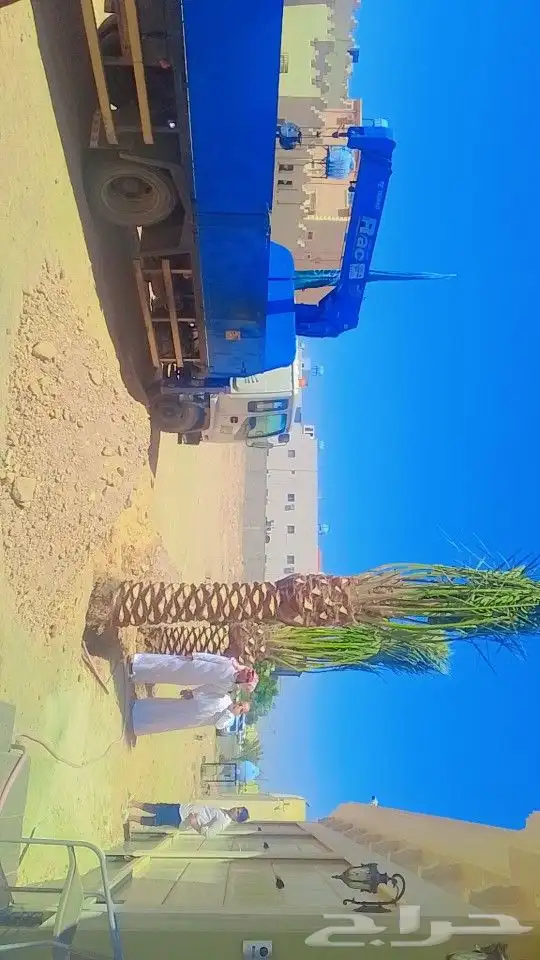 تبوك خط المدينه المنوره 5