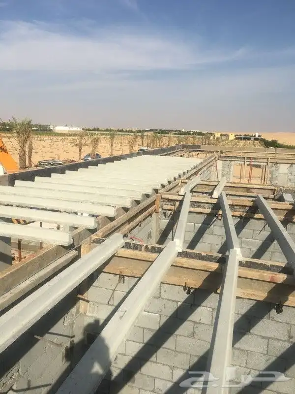 الأعصاب الخرسانية 10