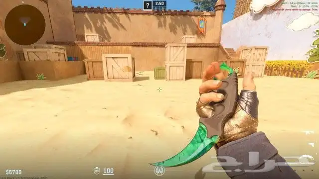 CS2 wall ESP Aimbot Skin changer 1