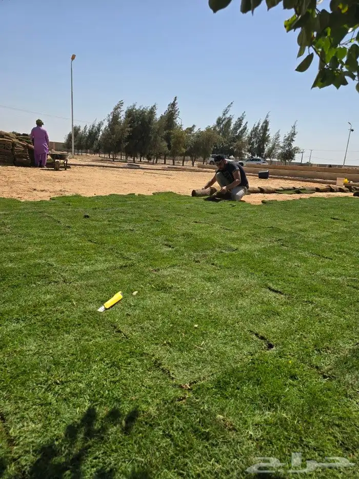 تيل طبيعى شبكات ري ديكورات حدائق 2