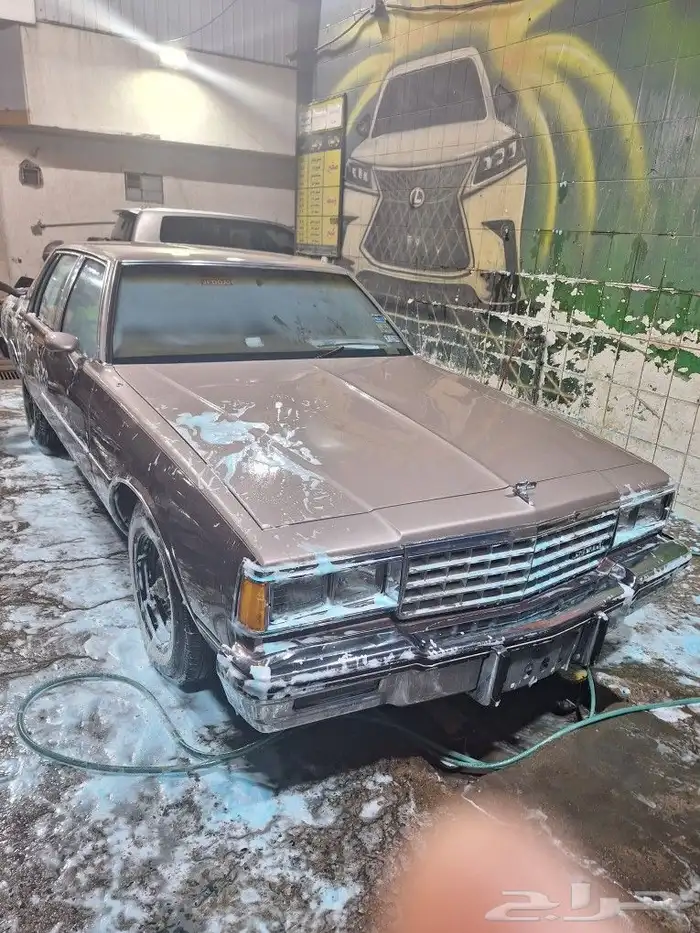 قريبا العرض كابرس مخزن 72الف كيلو بيان جمركي مديل 83 0