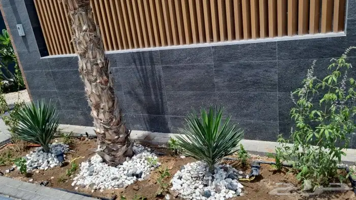 تنسيق_حدائق  صيانه_حدائق 9