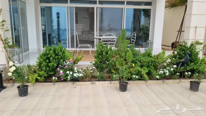 تنسيق_حدائق  صيانه_حدائق 3