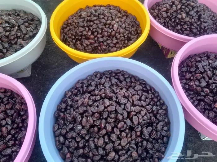 تمور حائل الفاخره 4