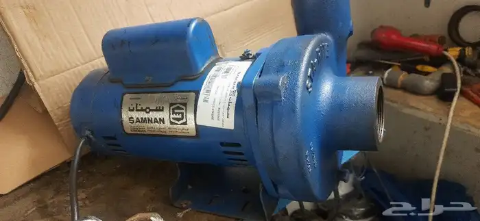 دينمو سمنان أمريكي 5