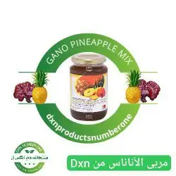 مربى الأناناس العضوي 0