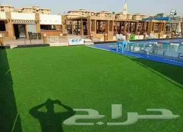 ثيل صناعي وعشب جداري 6