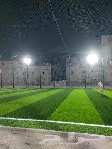 ثيل صناعي وعشب جداري 2