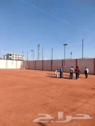 ثيل صناعي وعشب جداري 3