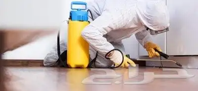 شركه رش حشرات بجده لجميع انواع الحشرات صراصير فيران نمل ابيض 3