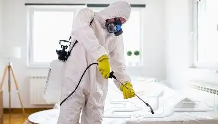 شركه رش حشرات بجده لجميع انواع الحشرات صراصير فيران نمل ابيض 1