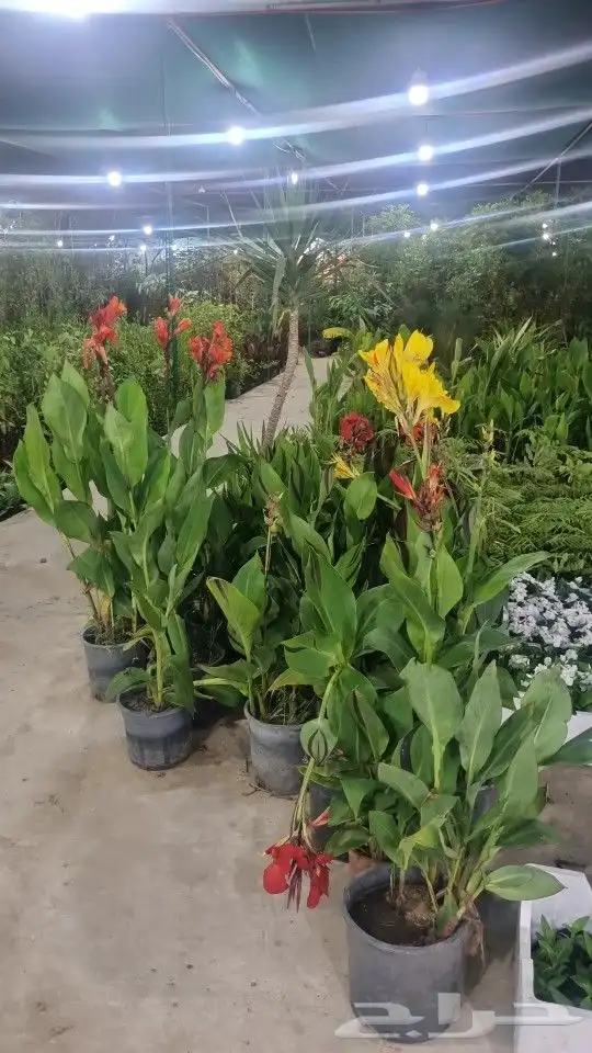 تنسيق_حدائق  صيانه_حدائق 2