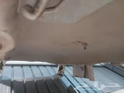 ام السباع 2