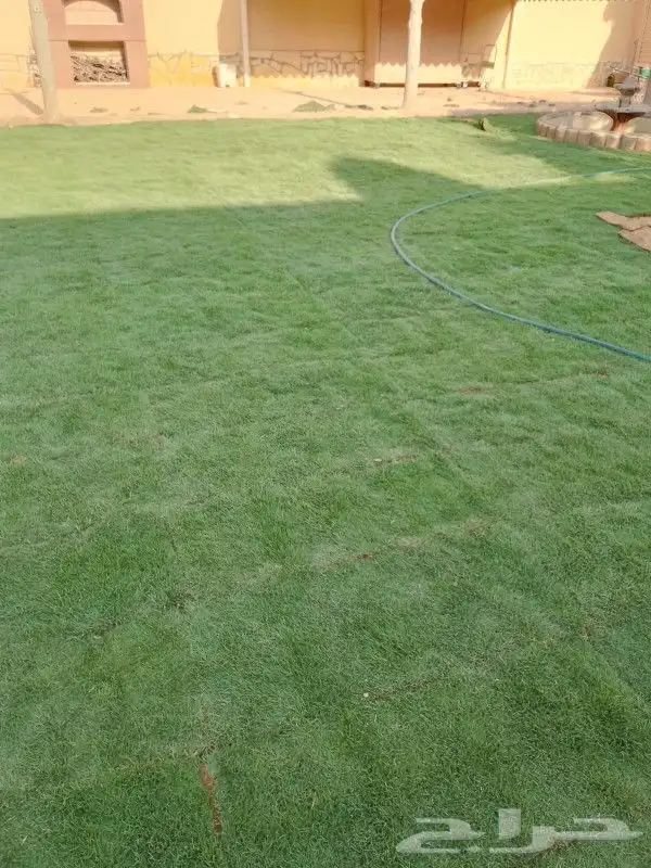 ثيل الخرج سى2000 4