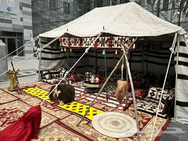 تأجير مخيمات با مزاد عنيزه للابل 3