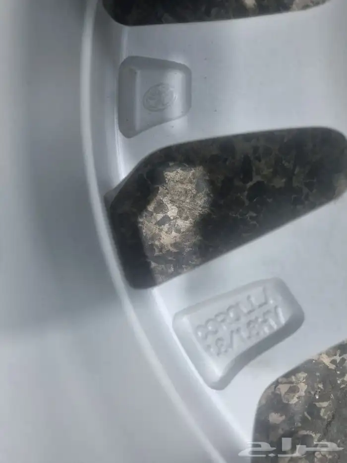 جنوط كرولا 2024 2