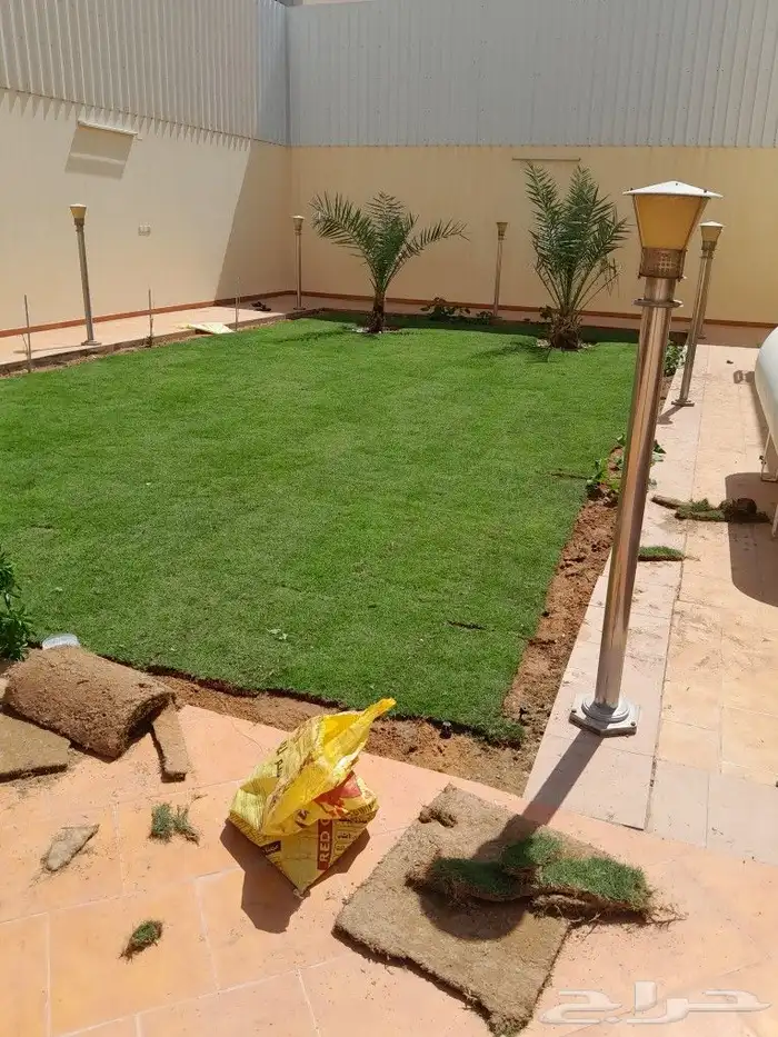 ثيل سي الفين علي الشرط 1