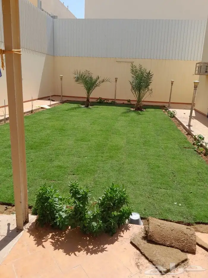 ثيل سي الفين علي الشرط 0