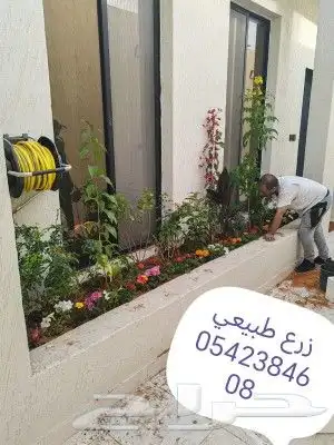 ديانا تربه زراعيه وطين زراعي 2