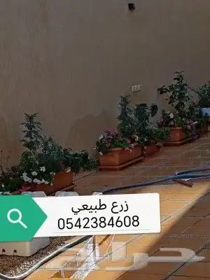 ديانا تربه زراعيه وطين زراعي 5