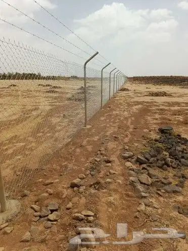 مقاول شبوك 4