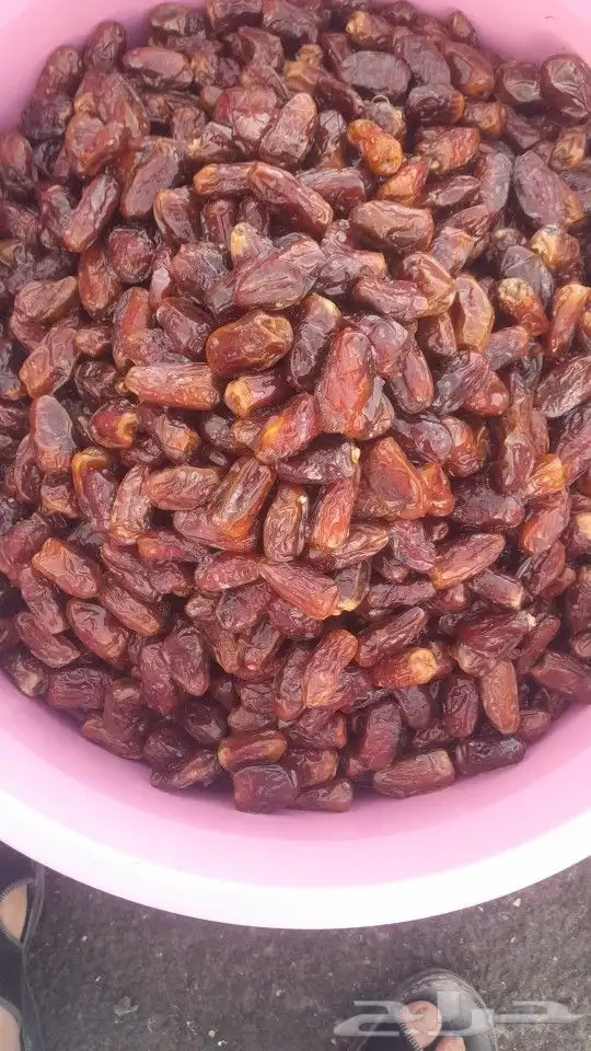 تمور حائل الفاخره 9