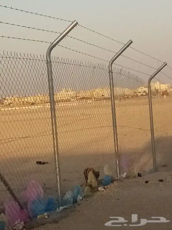 زراعه نخيل 8