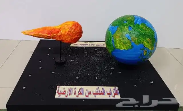 مجسمات فلين 3