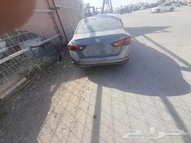 نسيان التيما نسيان مكسيما 2000 الي 2023 5