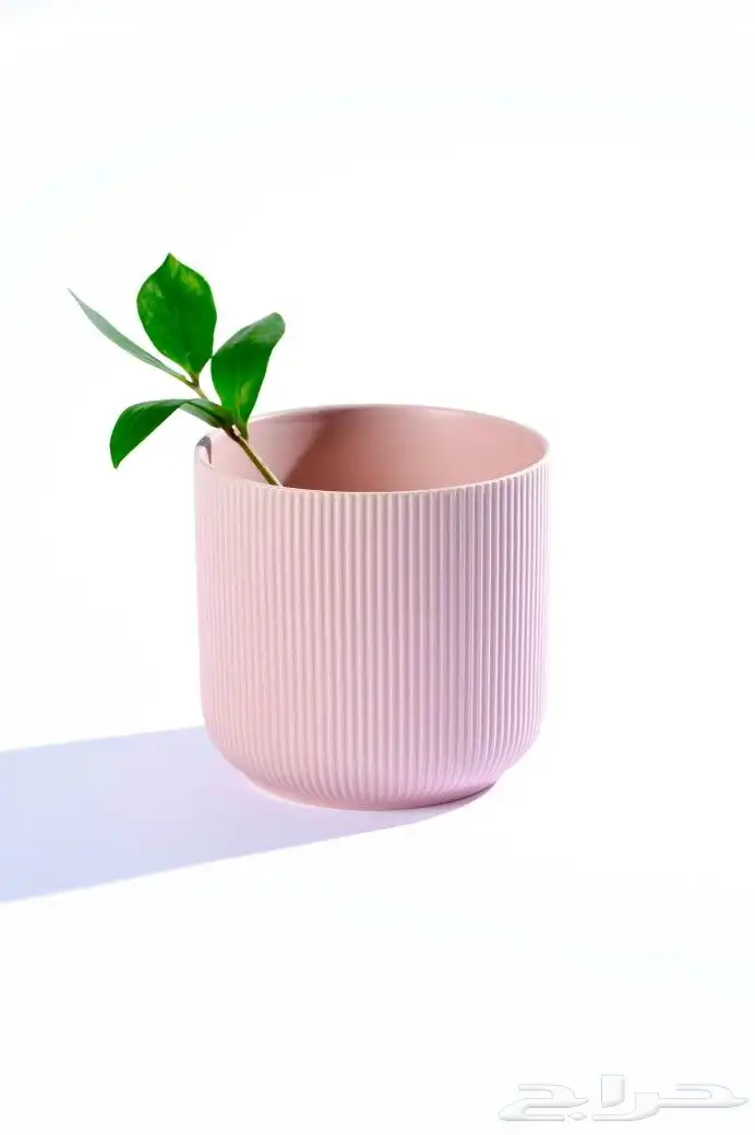 تصوير منيو و منتجات 0