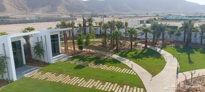 تحت رعايه المهندس 4