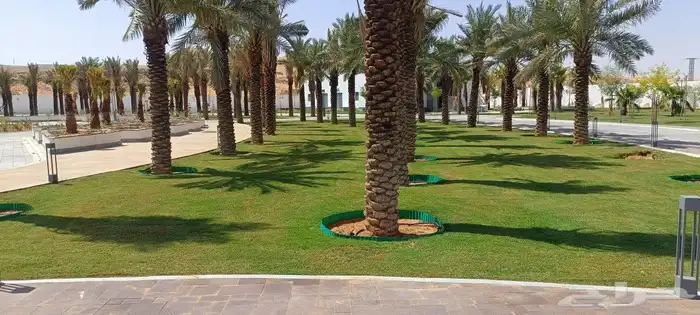 تحت رعايه المهندس 1