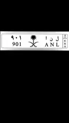 لوحة 901 لثقيف وبني سفيان والفضول 1