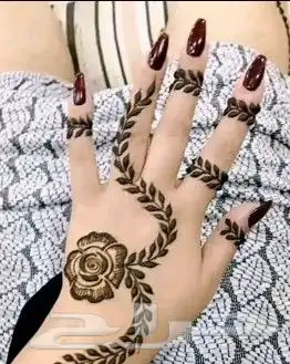 الطائف حي الفصيلية 1
