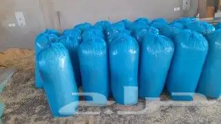 نشاره للدواجن داخل جده وخارجها نشاره نظيفه اكياس كبيره 9
