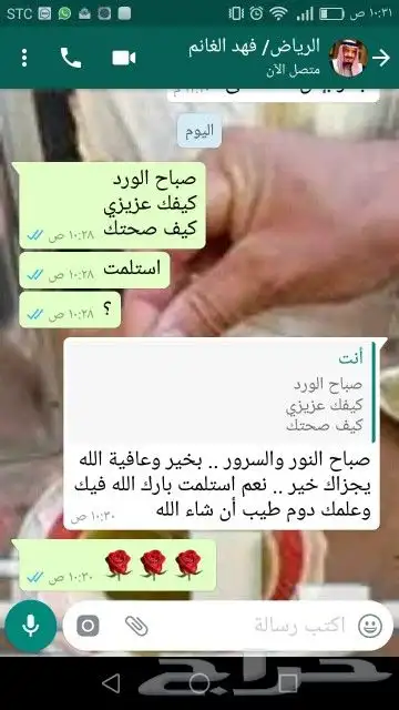 زيت زيتون بكر عالي الجودة معصور على البارد 38