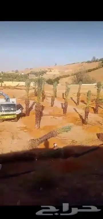 جميع انواع انخيل 2