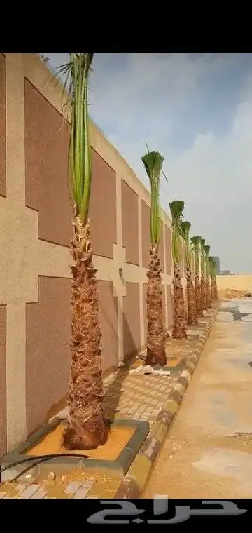 جميع انواع انخيل 1