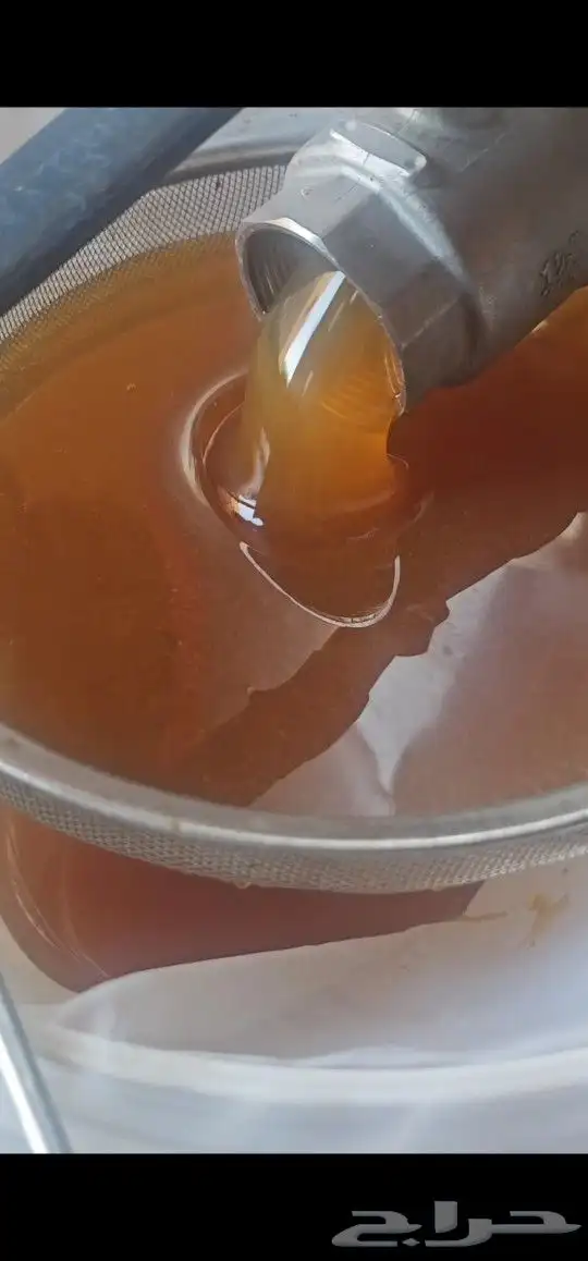 عسل سدر صافي من انتاجي 3