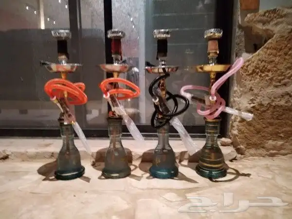 ايجار شيش جميع النكهات 6