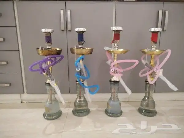 ايجار شيش جميع النكهات 2