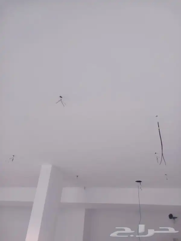 معلم دهان مباني 6