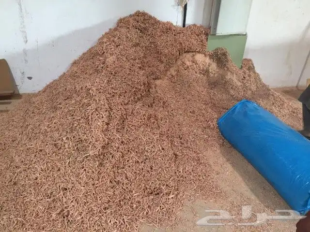 نشاره للدواجن داخل جده وخارجها نشاره نظيفه اكياس كبيره 2