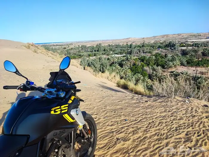 BMW GS310 2021 0