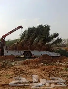 قلعه حيش وغارس تكريب تجريد نظافه 4