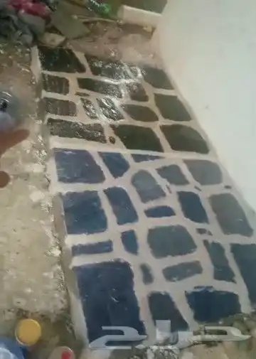 ابو نشمي معلمين حجر الباحه 30