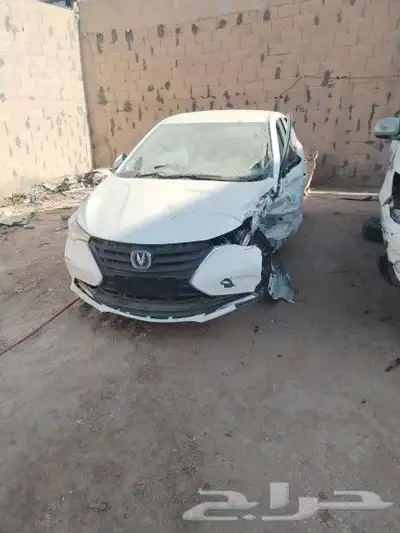 شانجان 2023 0