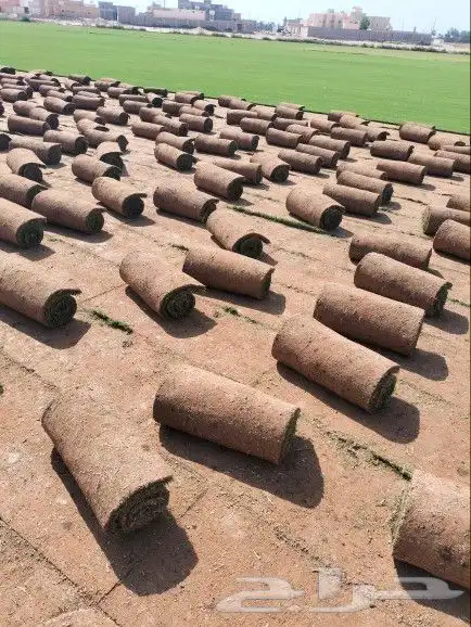 جميع انواع الثيل مع التوصيل 0