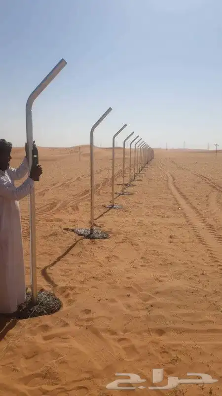 زراعه نخيل 9